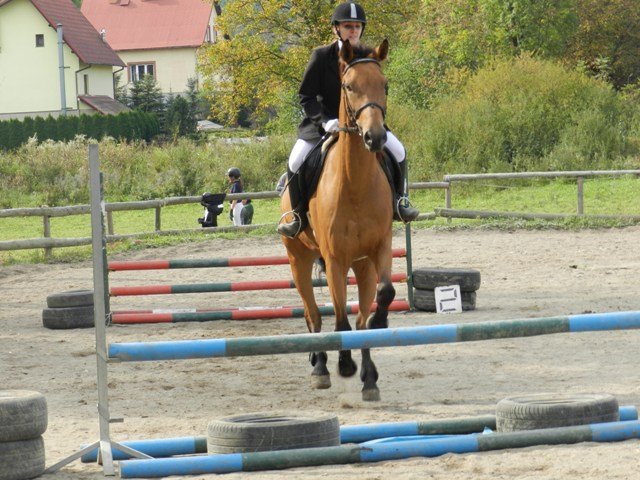 Babie Lato 2016